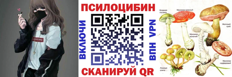 цена наркотик  Давлеканово  MEGA как войти  Псилоцибиновые грибы Magic Shrooms 